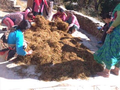 World Bank Funded Project - Decentralized Watershed Development (GRAMYA Phase-II)
